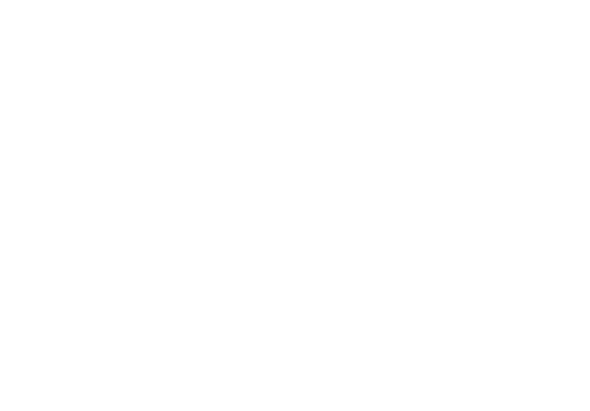 Snow Tribe